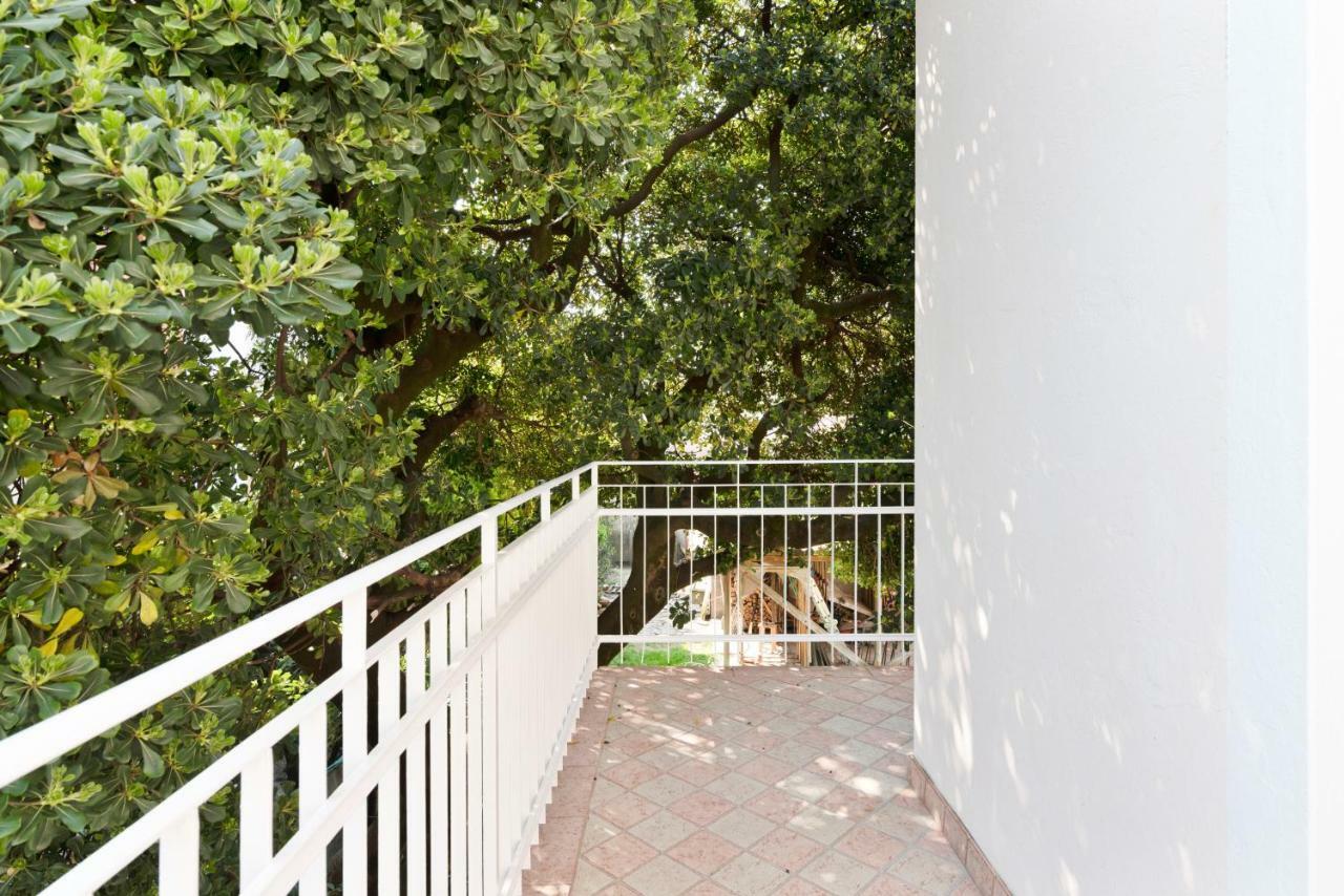 Santa Rita Roomy